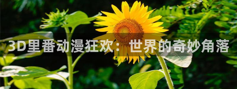 51动漫官网免费版：3D里番动漫狂欢：世界的奇妙角落