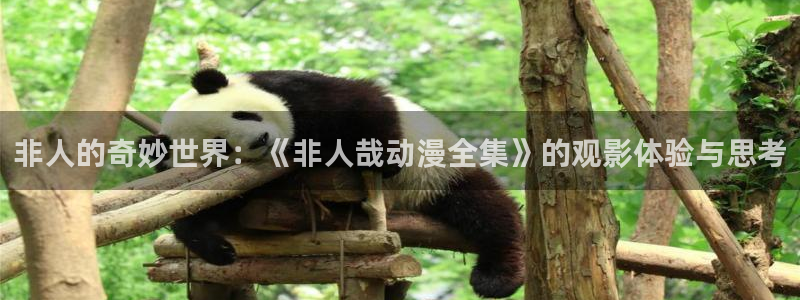 免费动漫51动漫