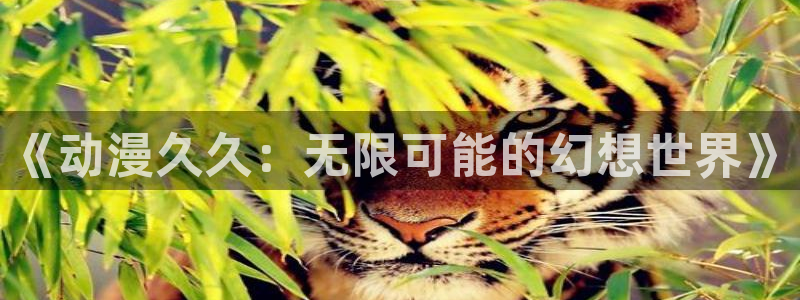 51动漫网站：《动漫久久：无限可能的幻想世界》