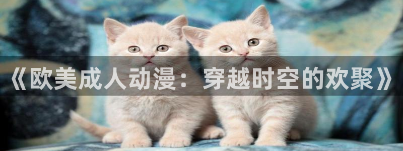 51动漫网站首页：《欧美成人动漫：穿越时空的欢聚》
