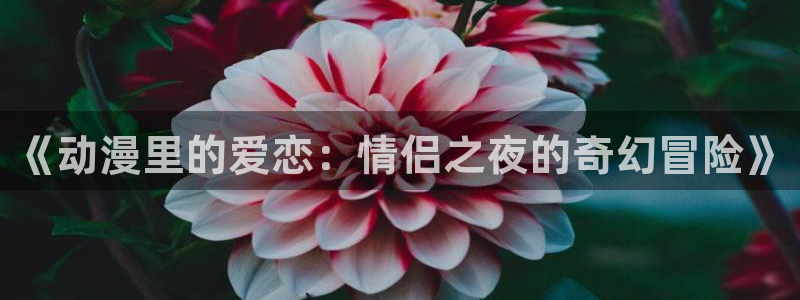 51动漫漫画网站免费：《动漫里的爱恋：情侣之夜的奇幻冒险》